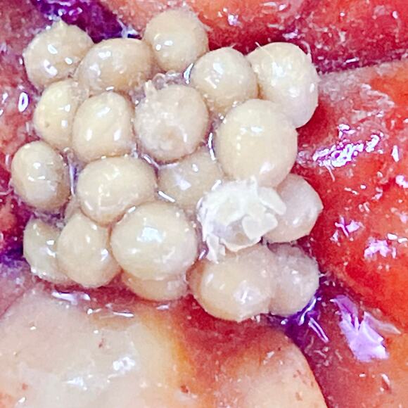 Vintage Resin Poinsettia Christmas Flower Holiday Brooch Abstract Festive Pin - Picture 10 of 11